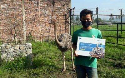 FILANTRA PEDULI SATWA, KEBUN BINATANG SE-INDONESIA TERIMA BANTUAN PAKAN DI MASA PANDEMI