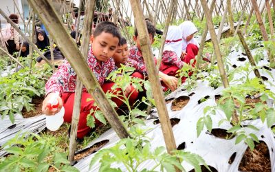 TOURISM VILLAGE “BALIK KA BUMI” GUARANTEED PT SMELTING PRESENTS CHILD-FRIENDLY EDUCATIONAL TOUR PACKAGES