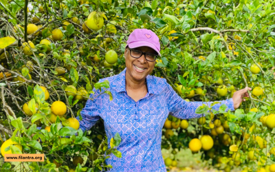 The Role of Local Heroes in Corporate Social Responsibility (CSR)