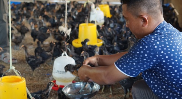 PT Hindoli Cargill and Filantra Empower Independent Livestock MSMEs through the Ternakpreneur Program