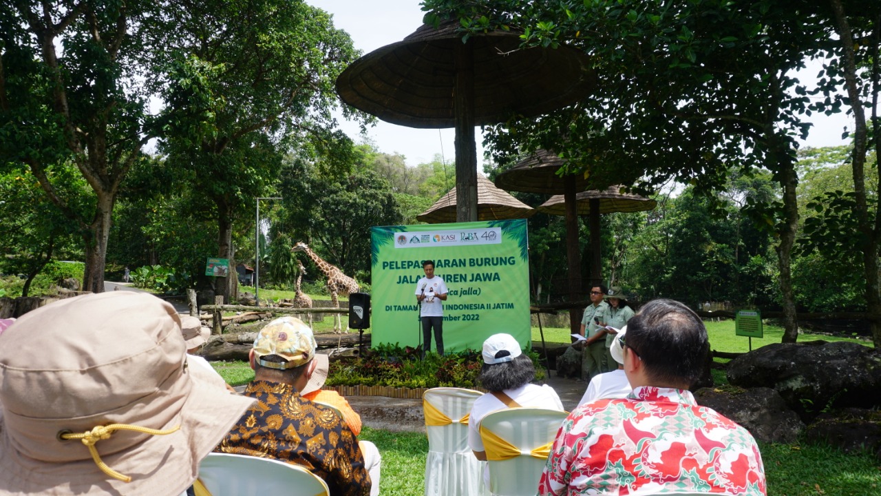 WhatsApp-Image-2022-11-15-at-16.45.24-2