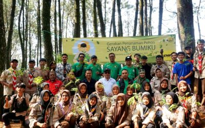 Sayang Bumiku, Adira Finance Berhasil Tanam 2620 Pohon Di 10 Kota