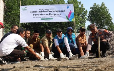 PLN UIT JBT Promotes Sustainable Utilization through Mangrove Revitalization in Bekasi