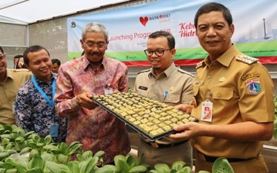 Launching Kebun Hidroponik PT Bank DKI