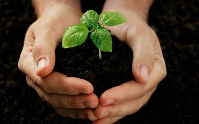 Kebijakan Corporate Social Responsibility III