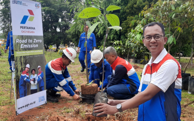 PT PERUSAHAAN GAS NEGARA TBK GOD FENCE TREE PLANTING
