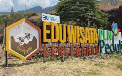 SOCIAL RETURN ON INVESTMENT (SROI) CALCULATION REPORT FOR ASSISTANCE TO THE PASAWAHAN BEEKEEPING EDUCATIONAL TOURISM VILLAGE DEVELOPMENT PROGRAM