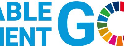 History of SDGs: From the Earth Summit to the 2030 sustainable development agenda