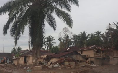 Sumatra Recovery Emergency: Environmental Crisis and Disaster Management Innovation