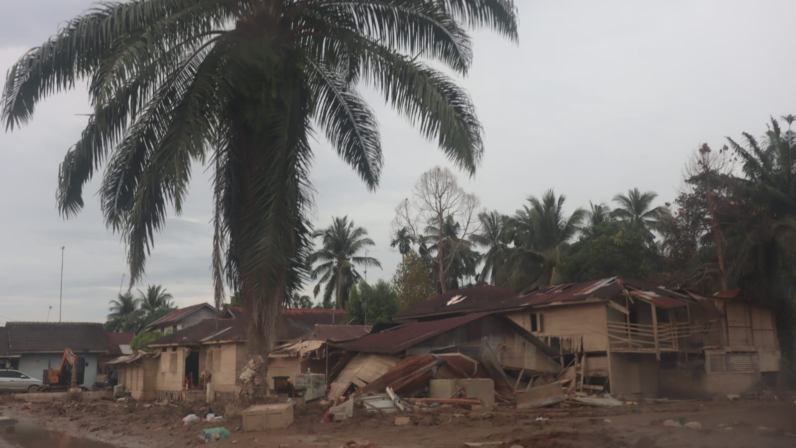 Sumatra Recovery Emergency: Environmental Crisis and Disaster Management Innovation