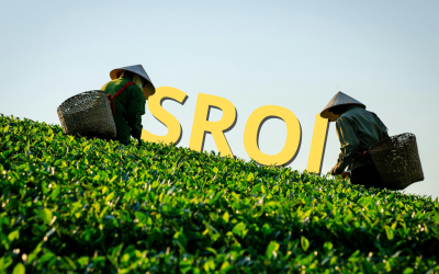 Tahapan Proses SROI Yang Harus Kamu Tahu