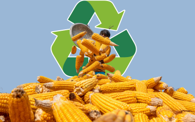 Mengapa Program CSR Sering Gagal Berkelanjutan?