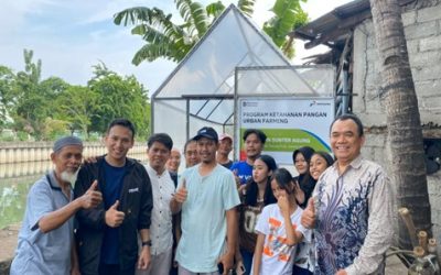 PT Pertamina and Filantra Transform 68 Locations in Jakarta into Productive Urban Farming Areas