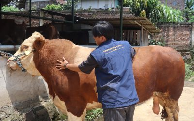 When Qurban Becomes a Small Step Toward a More Sustainable Future
