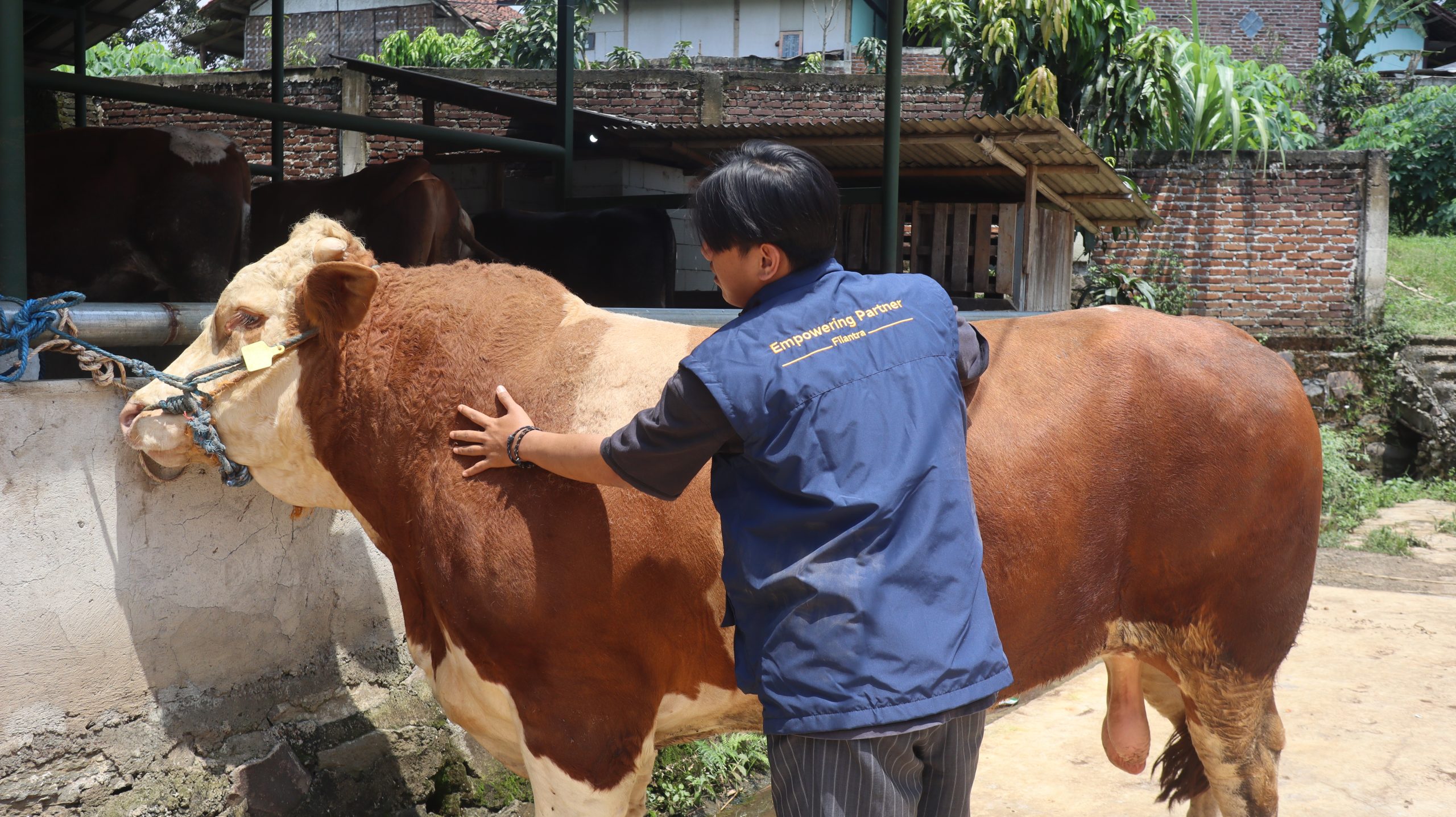 When Qurban Becomes a Small Step Toward a More Sustainable Future