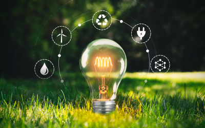 Understanding Sustainability in Business