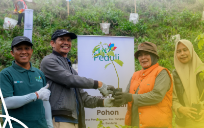 Restoring Ecosystems and Protecting Pangalengan’s Water Springs